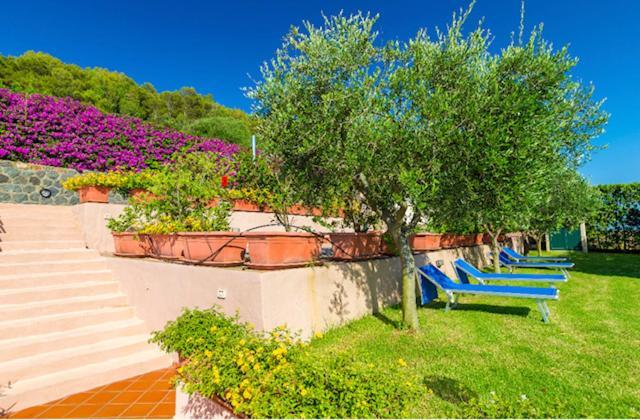 Usticaappartamenti Ca'Serta Isola di Ustica エクステリア 写真